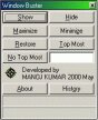 Window Buster